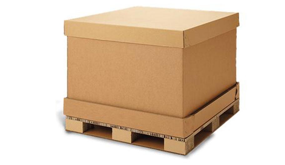 0806-2.jpg 0806-2.jpg